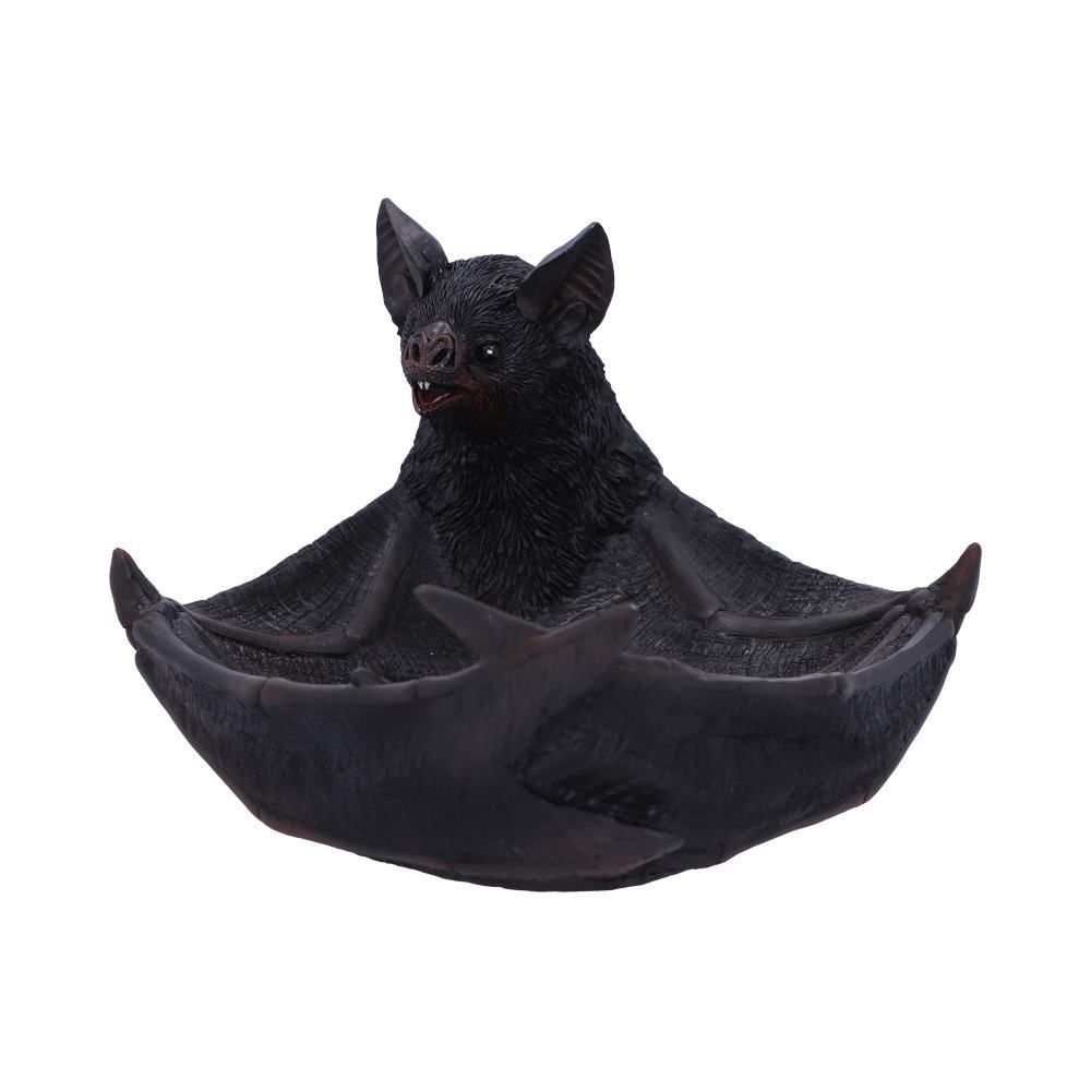 Nemesis Now - Winged Watcher Plateau à bijoux/Trinket dish - Noir